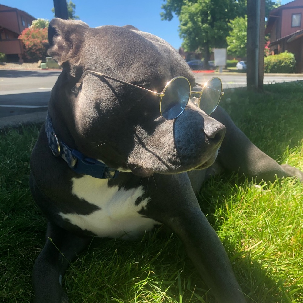 Meet your Posher, Sqwanto